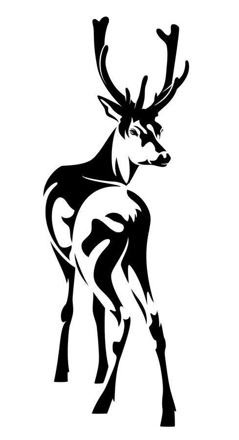 Buck Stop